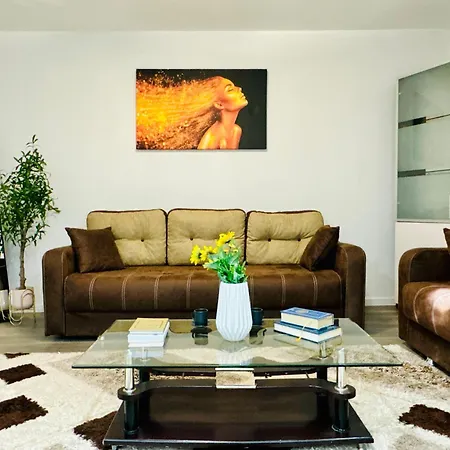 Joy Spacious Comfortable Apartment Timisoara