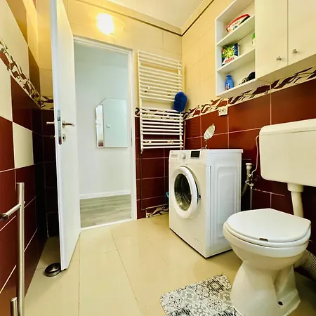 Joy Spacious Comfortable Apartment Timisoara
