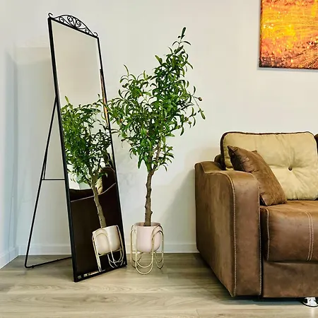 Joy Spacious Comfortable *