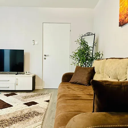 Apartment Joy Spacious Comfortable Timisoara