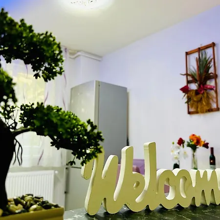 Joy Spacious Comfortable Apartment