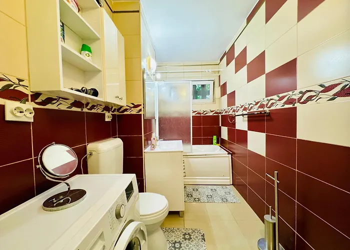 Joy Spacious Comfortable Apartment Timişoara