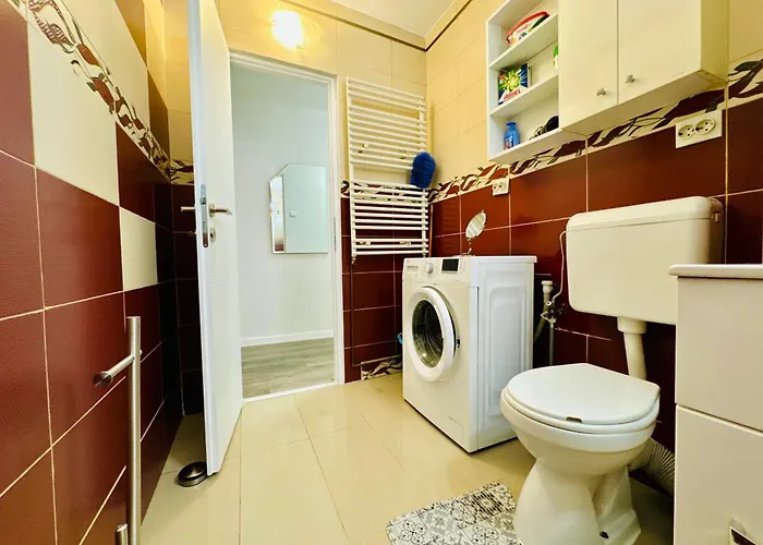 Joy Spacious Comfortable Apartment Timişoara