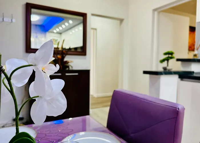 Joy Spacious Comfortable Apartment Timişoara