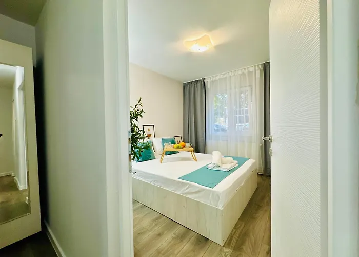 Joy Spacious Comfortable * Timişoara