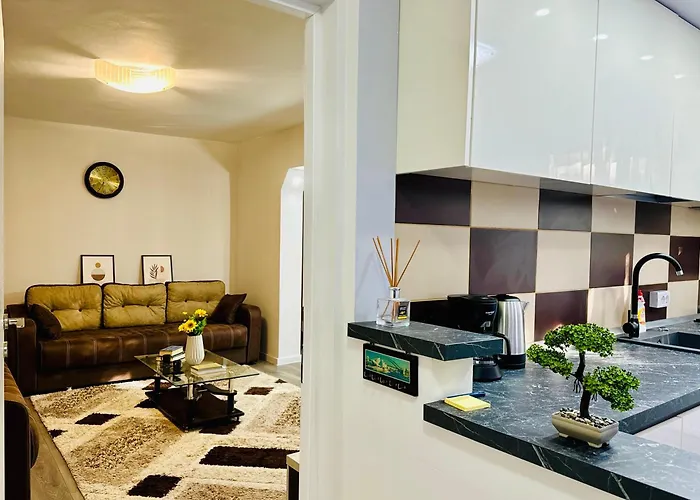 Joy Spacious Comfortable * Timişoara