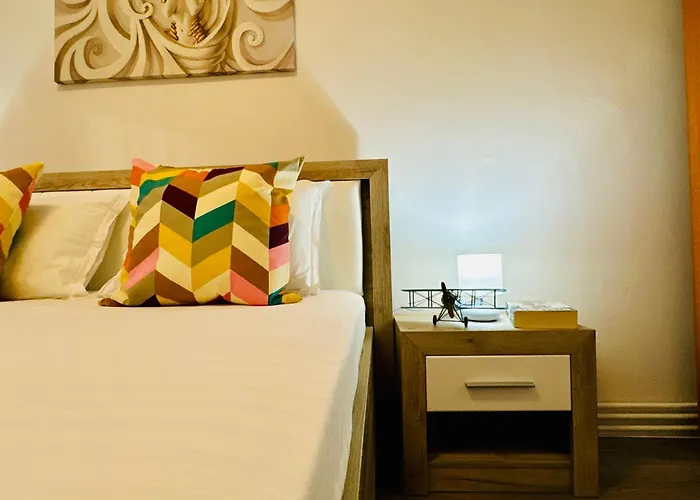 Joy Spacious Comfortable * 티미쇼아라