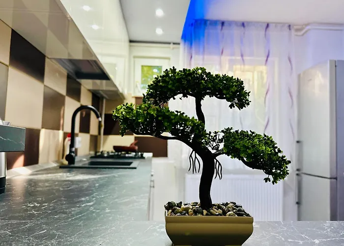 Joy Spacious Comfortable