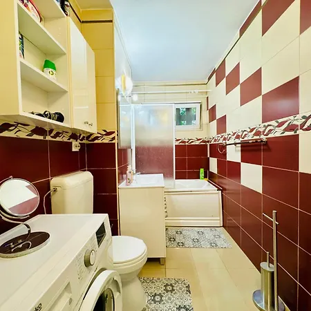 Joy Spacious Comfortable 公寓 蒂米什瓦拉