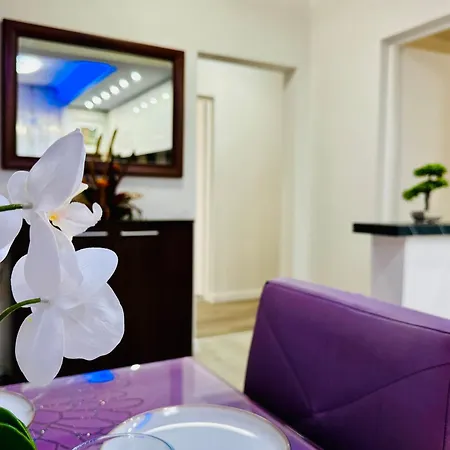 Joy Spacious Comfortable 公寓 蒂米什瓦拉