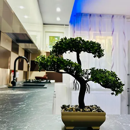 Joy Spacious Comfortable