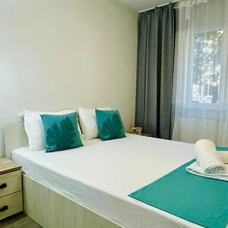 Joy Spacious Comfortable 公寓 蒂米什瓦拉